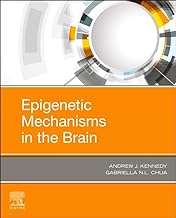 Epigenetic Mechanisms in the Brain