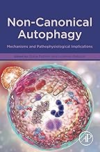 Non-canonical Autophagy: Mechanisms and Pathophysiological Implications