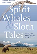 Spirit Whales and Sloth Tales: Fossils of Washington State