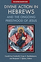 Divine Action in Hebrews: And the Ongoing Priesthood of Jesus