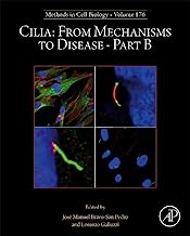 Cilia: From Mechanisms to Disease Part B (Volume 176)