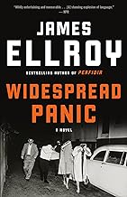 Widespread Panic: A novel