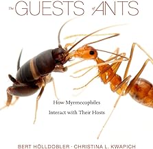 The Guests of Ants: How Myrmecophiles Interact With Their Hosts