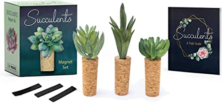 Succulents Magnet Set