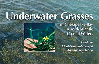 Underwater Grasses in Chesapeake Bay & Mid-Atlantic Coastal Waters: Guide to ...
