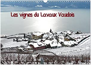 Les vignes du Lavaux Vaudois (Calendrier mural 2023 DIN A3 horizontal): Vignes en terrasses sous la neige (Calendrier mensuel, 14 Pages )