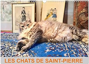 LES CHATS DE SAINT-PIERRE (Calendrier mural 2023 DIN A3 horizontal): Les chats de gouttière en mode survie (Calendrier mensuel, 14 Pages )
