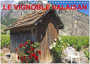 LE VIGNOBLE VALAISAN (Calendrier mural 2023 DIN A4 horizontal): Le vignoble valaisan, un terroir qui mérite d'être connu, dans le monde entier. (Calendrier mensuel, 14 Pages )