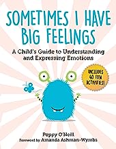 Sometimes I Have Big Feelings: A Child's Guide to Understanding and Expression Emotions
