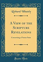 A View of the Scripture Revelations: Concerning a Future State (Classic Reprint)