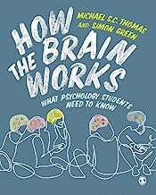 How the Brain Works: What Psychology Students Need to Know