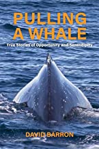 Pulling a Whale: True Stories of Opportunity and Serendipity
