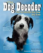 The Dog Decoder: How to Identify Any Dog, Any Time
