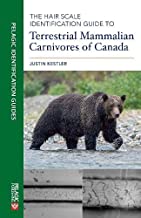 The Hair Scale Identification Guide to Terrestrial Carnivores of Canada (Pelagic Identification Guides)