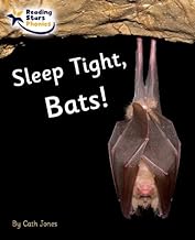 Sleep Tight, Bats!: Phase 4