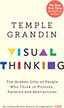 The Visual Thinker: The Hidden Gift of People Who Think in Pictures, Patterns and Abstractions