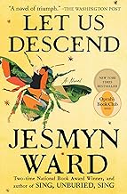 Let Us Descend: A Novel