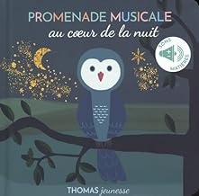 Promenade musicale au cœur de la nuit, livre musical à toucher