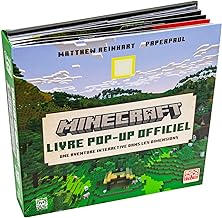MineCraft, le pop-up officiel