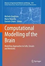 Computational Modelling of the Brain: Modelling Approaches to Cells, Circuits and Networks: 1359