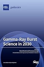 Gamma-Ray Burst Science in 2030