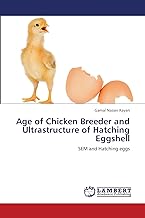 Age of Chicken Breeder and Ultrastructure of Hatching Eggshell: SEM and Hatching eggs