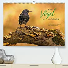 Bunte Vögel am Futterplatz (Premium, hochwertiger DIN A2 Wandkalender 2023, Kunstdruck in Hochglanz): Singvögel an der Futterstelle (Monatskalender, 14 Seiten )