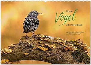 Bunte Vögel am Futterplatz (Wandkalender 2024 DIN A2 quer), CALVENDO Monatskalender: Singvögel an der Futterstelle