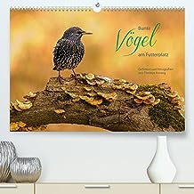Bunte Vögel am Futterplatz (hochwertiger Premium Wandkalender 2024 DIN A2 quer), Kunstdruck in Hochglanz: Singvögel an der Futterstelle
