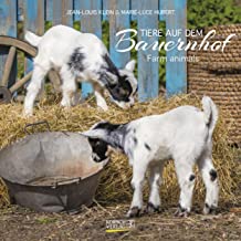 Tiere auf dem Bauernhof 2023: Broschürenkalender mit Ferienterminen. Format: 30 x 30 cm