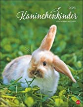 Kaninchenkinder Posterkalender 2023