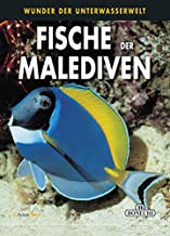 Fische der Malediven: Wunder der Unterwasserwelt