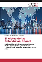 El Aleteo de las Golondrinas, Bogotá: Inicio del Estado Transnacional Verde. Redes de Ciudades y Ciudadanía Transnacional. Periodo de Estudio: 2013-2016