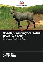 Boselaphus tragocamelus (Pallas, 1766): Une étude sur l'écologie de Nilgai