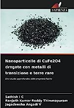 Nanoparticelle di CuFe2O4 drogate con metalli di transizione e terre rare: Uno studio approfondito delle proprietà fisiche