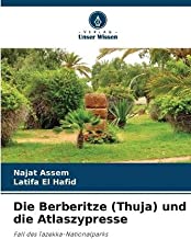 Die Berberitze (Thuja) und die Atlaszypresse: Fall des Tazekka-Nationalparks