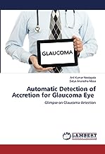 Automatic Detection of Accretion for Glaucoma Eye: Glimpse on Glaucoma detection