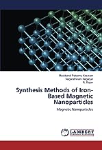 Synthesis Methods of Iron-Based Magnetic Nanoparticles: Magnetic Nanoparticles