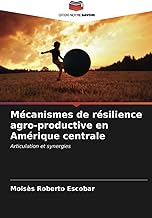 Mécanismes de résilience agro-productive en Amérique centrale: Articulation et synergies