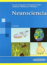 Neurociencia / Neuroscience