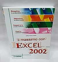 Excel 2002 (Il massimo con)