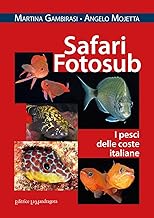Safari fotosub. I pesci delle coste italiane. Ediz. illustrata