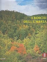 I boschi dell'Umbria