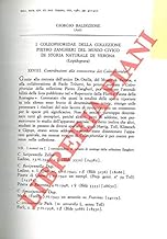 I Coleophoridae della Collezione Pietro Zangheri del Museo Civico di Storia Naturale di Verona (Lepidoptera) .