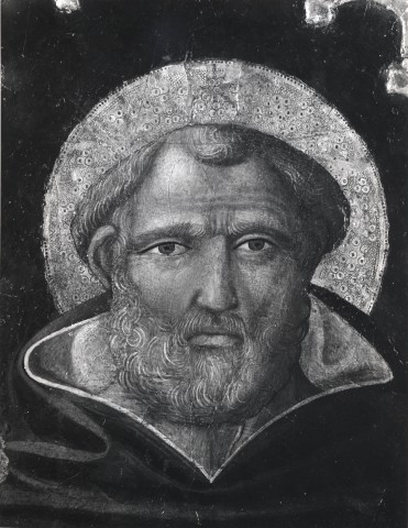 (sant') Alberto magno