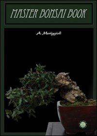 Andrea Meriggioli