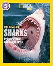 Face to Face with Sharks: Level 5
