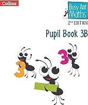 Pupil Book 3B