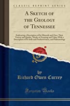 A Sketch of the Geology of Tennessee: Embracing a Description of Its Minerals and Ores, Their Variety and Quality, Modes of Assaying and Value; With a ... and Palæontology (Classic Reprint)