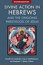 Divine Action in Hebrews: And the Ongoing Priesthood of Jesus